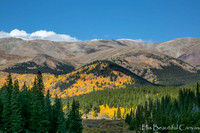 Mountain and Fall View Near Boreas Pass