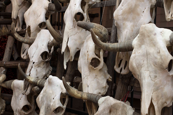Skulls, Santa Fe