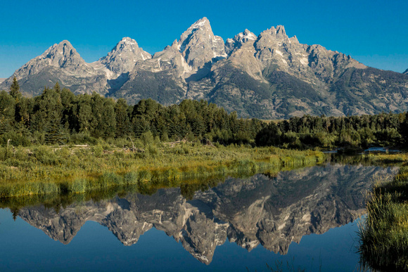 Schwabacher Landing