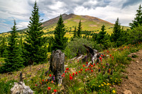 Black Powder Pass Trail