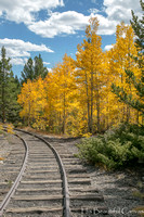 Fall Tracks