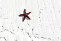 Sand & Star