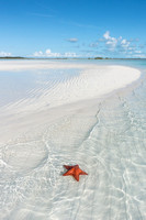 Back to the Sea