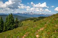 Shrine Pass 2020 Landscape