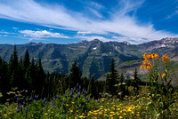 View near Schofield Pass