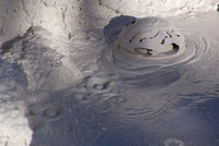 Bubbling Mud Pots